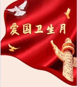 小猫钓鱼正版下载中文版